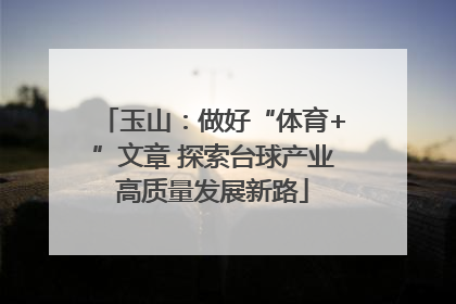 玉山：做好“体育+”文章 探索台球产业高质量发展新路