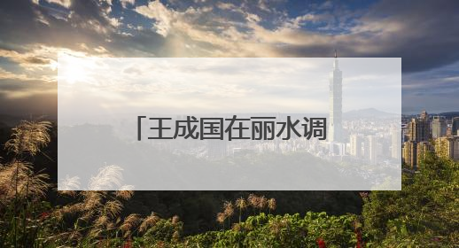 王成国在丽水调研时强调：以更高水平安全和法治环境服务保障山区海岛县高质量发展