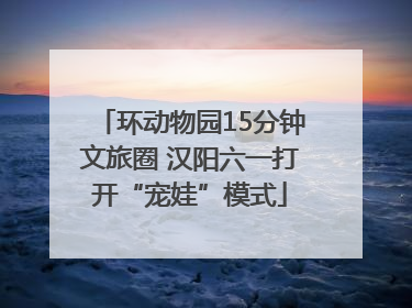 环动物园15分钟文旅圈 汉阳六一打开“宠娃”模式