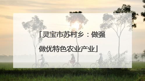 灵宝市苏村乡：做强做优特色农业产业