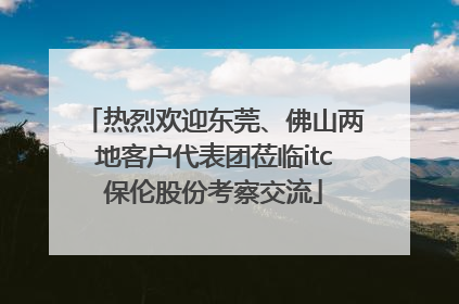 热烈欢迎东莞、佛山两地客户代表团莅临itc保伦股份考察交流