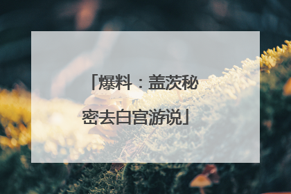 爆料：盖茨秘密去白宫游说