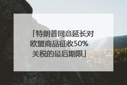 特朗普同意延长对欧盟商品征收50%关税的最后期限