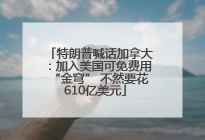 特朗普喊话加拿大：加入美国可免费用“金穹” 不然要花610亿美元