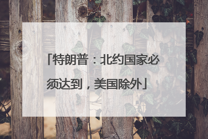特朗普：北约国家必须达到，美国除外