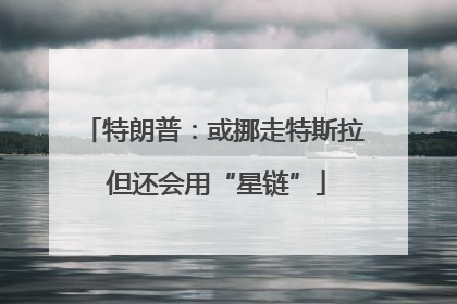 特朗普：或挪走特斯拉 但还会用“星链”