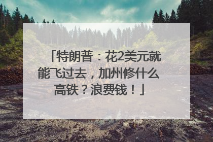 特朗普：花2美元就能飞过去，加州修什么高铁？浪费钱！
