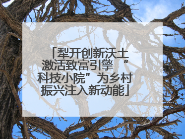 犁开创新沃土 激活致富引擎 “科技小院”为乡村振兴注入新动能
