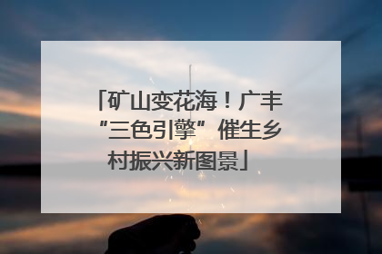 矿山变花海！广丰“三色引擎”催生乡村振兴新图景