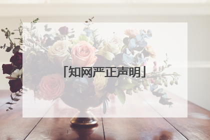 知网严正声明