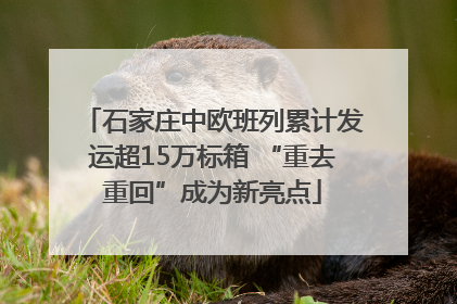石家庄中欧班列累计发运超15万标箱 “重去重回”成为新亮点