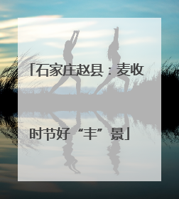石家庄赵县：麦收时节好“丰”景