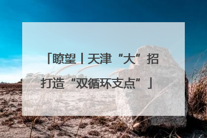 瞭望丨天津“大”招打造“双循环支点”