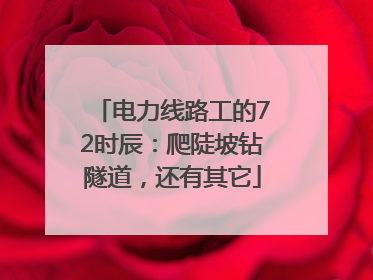 电力线路工的72时辰：爬陡坡钻隧道，还有其它