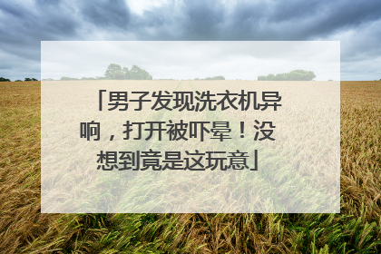 男子发现洗衣机异响，打开被吓晕！没想到竟是这玩意
