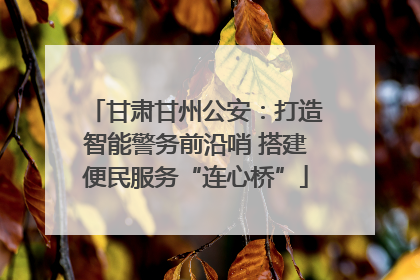 甘肃甘州公安：打造智能警务前沿哨 搭建便民服务“连心桥”