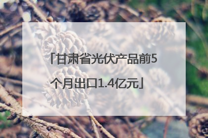 甘肃省光伏产品前5个月出口1.4亿元
