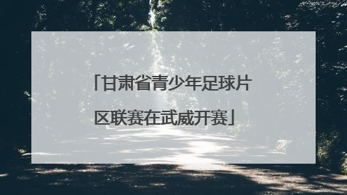 甘肃省青少年足球片区联赛在武威开赛