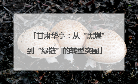 甘肃华亭：从“黑煤”到“绿链”的转型突围