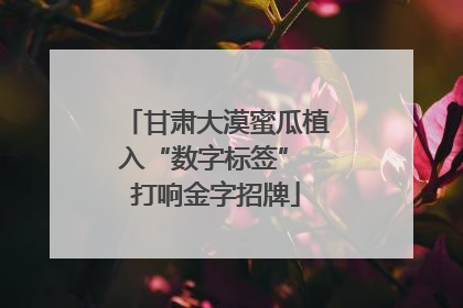甘肃大漠蜜瓜植入“数字标签” 打响金字招牌