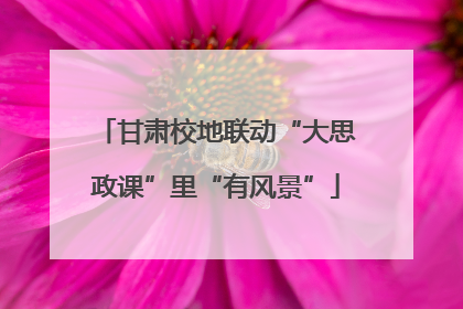 甘肃校地联动“大思政课”里“有风景”