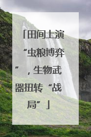 田间上演“虫粮博弈”，生物武器扭转“战局”