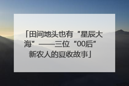 田间地头也有“星辰大海”——三位“00后”新农人的夏收故事