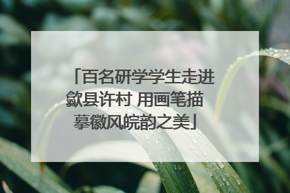 百名研学学生走进歙县许村 用画笔描摹徽风皖韵之美