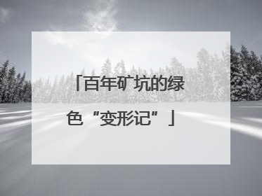 百年矿坑的绿色“变形记”