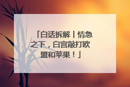 白话拆解丨情急之下，白宫敲打欧盟和苹果！