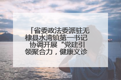 省委政法委派驻无棣县水湾镇第一书记 协调开展“党建引领聚合力，健康义诊惠乡亲”义诊活动