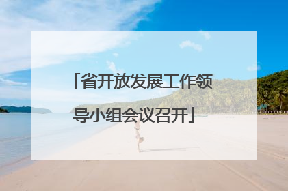 省开放发展工作领导小组会议召开