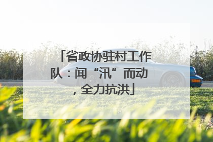省政协驻村工作队：闻“汛”而动，全力抗洪