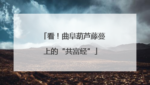 看！曲阜葫芦藤蔓上的“共富经”