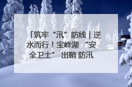 筑牢“汛”防线｜逆水而行！宝峰湖 “安全卫士” 出鞘 防汛应急再添硬核力量