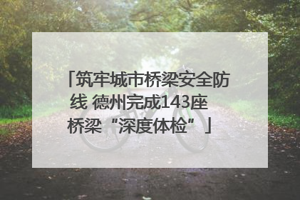 筑牢城市桥梁安全防线 德州完成143座桥梁“深度体检”