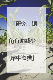 研究：锯角有助减少犀牛盗猎