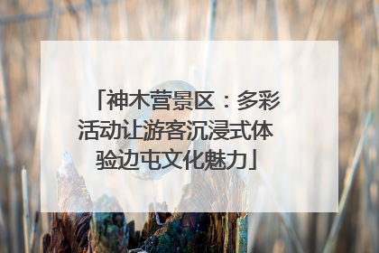 神木营景区：多彩活动让游客沉浸式体验边屯文化魅力