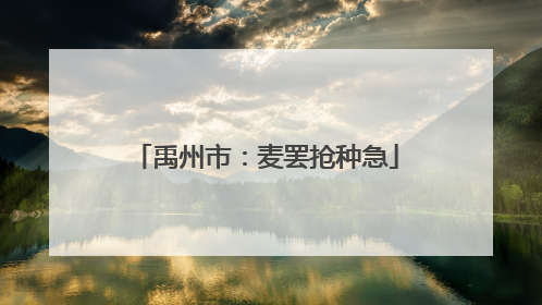 禹州市：麦罢抢种急