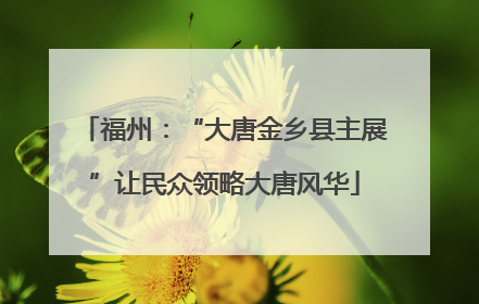 福州：“大唐金乡县主展”让民众领略大唐风华
