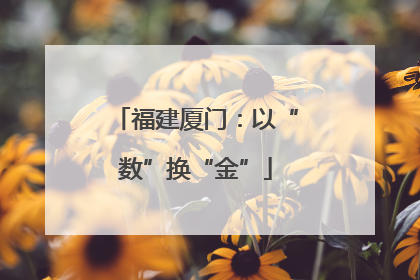 福建厦门：以“数”换“金”