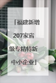 福建新增207家省级专精特新中小企业
