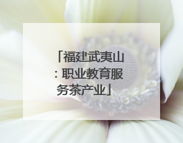 福建武夷山：职业教育服务茶产业