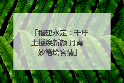 福建永定：千年土楼焕新颜 丹青妙笔绘客情