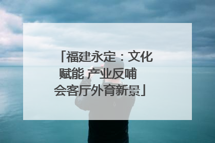 福建永定：文化赋能 产业反哺 会客厅外育新景
