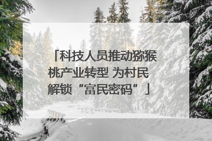 科技人员推动猕猴桃产业转型 为村民解锁“富民密码”