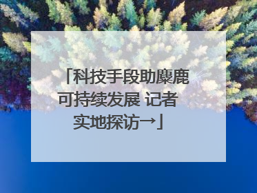 科技手段助麋鹿可持续发展 记者实地探访→