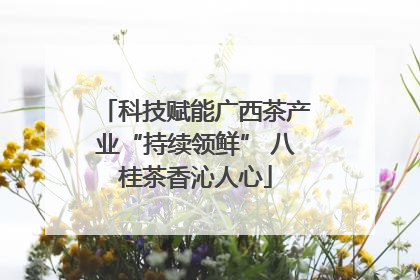 科技赋能广西茶产业“持续领鲜” 八桂茶香沁人心