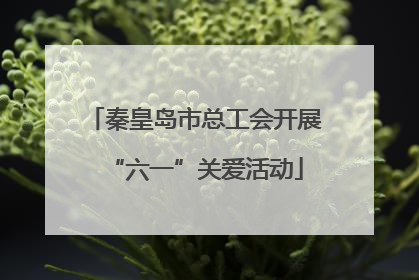 秦皇岛市总工会开展“六一”关爱活动