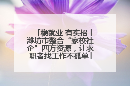 稳就业 有实招丨潍坊市整合“家校社企”四方资源，让求职者找工作不孤单
